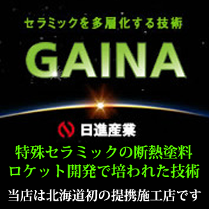 GAINAガイナ